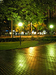 IMGP4932.jpg