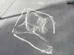 IMGP4940.jpg