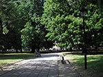IMGP4950.jpg
