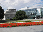 IMGP4965.jpg