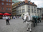 IMGP4989.jpg