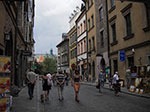 IMGP5007.jpg
