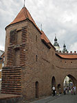 IMGP5021.jpg