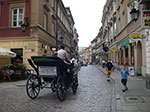 IMGP5031.jpg