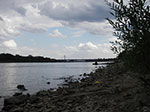 IMGP5047.jpg