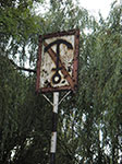 IMGP5056.jpg