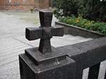 IMGP5067.jpg