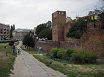 IMGP5074.jpg