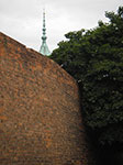 IMGP5082.jpg