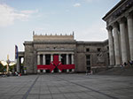IMGP5132.jpg