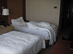 IMGP5248.jpg