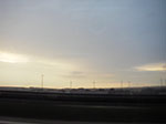 IMGP5450.jpg