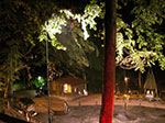 IMGP5463.jpg