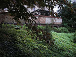 IMGP5517.jpg