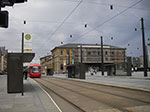 IMGP5523.jpg