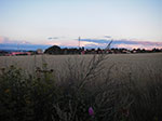 IMGP5568.jpg