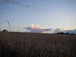 IMGP5583.jpg