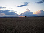 IMGP5587.jpg