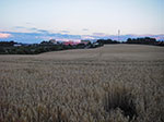 IMGP5589.jpg