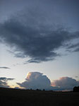 IMGP5605.jpg