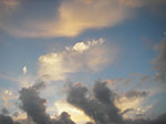 IMGP5726.jpg