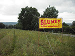 IMGP5747.jpg