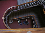 IMGP5834.jpg