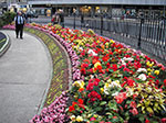 IMGP5937.jpg