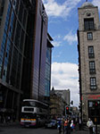 IMGP6040.jpg