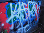 IMGP6122.jpg