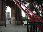 IMGP6131.jpg