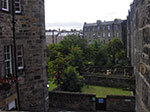 IMGP6336.jpg