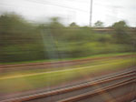 IMGP6356.jpg