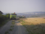 IMGP6374.jpg