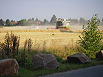 Photos