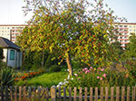 IMGP6394.jpg