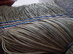 IMGP6647.jpg