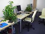 Photos