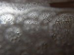 IMGP6919.jpg