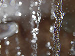 IMGP6930.jpg