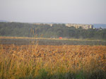 IMGP6951.jpg