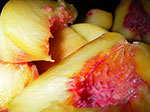IMGP7015.jpg