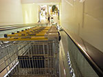 IMGP7116.jpg