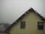 IMGP7155.jpg