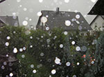 IMGP7159.jpg