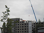 IMGP7207.jpg