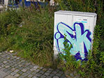 Photos