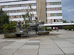 IMGP0014.jpg