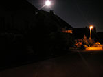 IMGP0080.jpg
