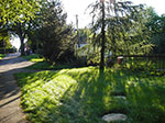 IMGP0091.jpg